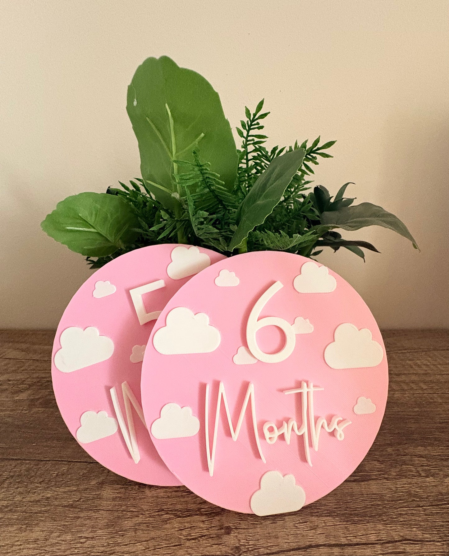 Baby Milestone Discs