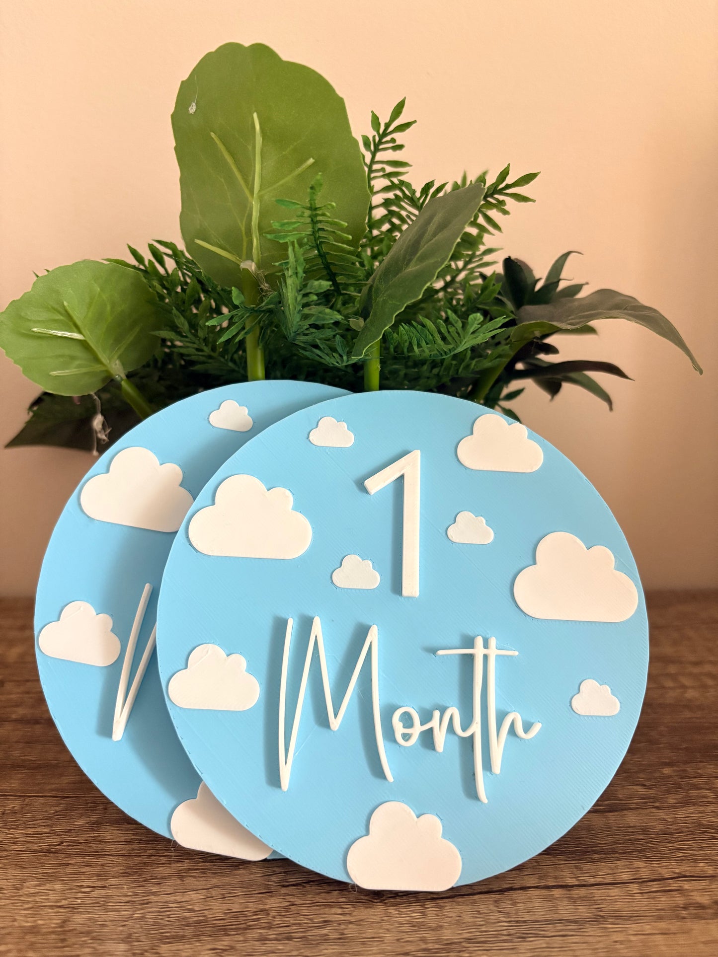 Baby Milestone Discs