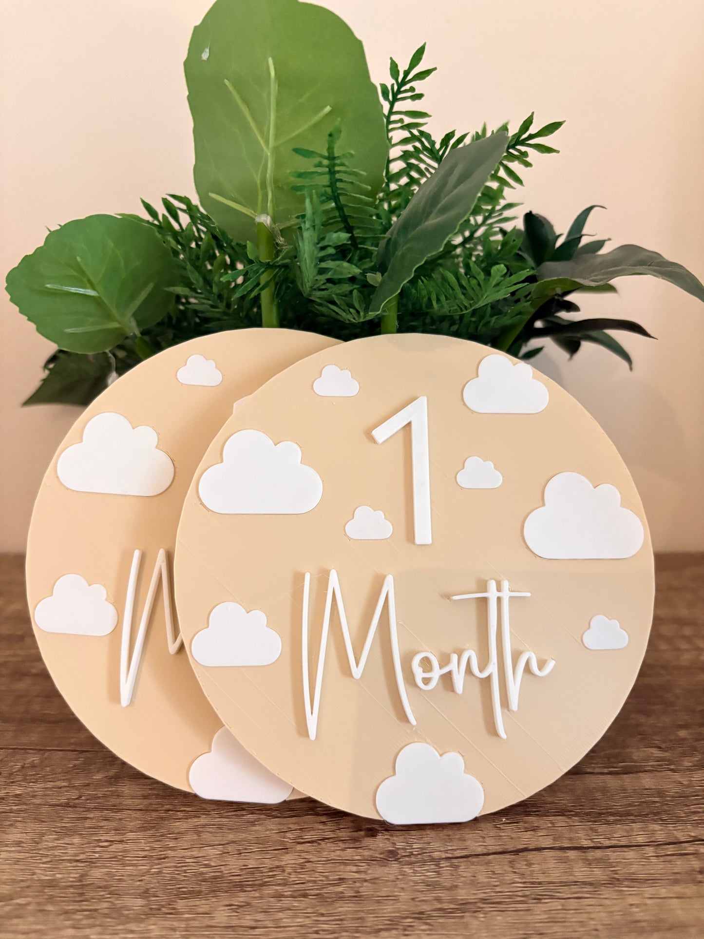 Baby Milestone Discs